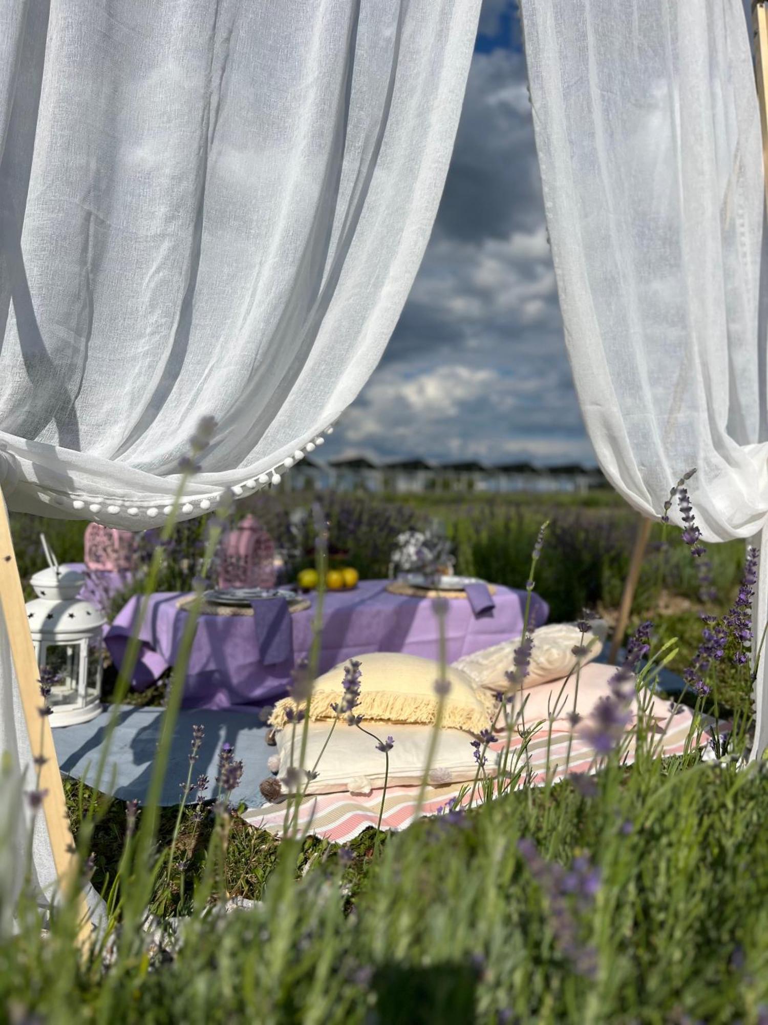 Campingplatz Lavender Village *