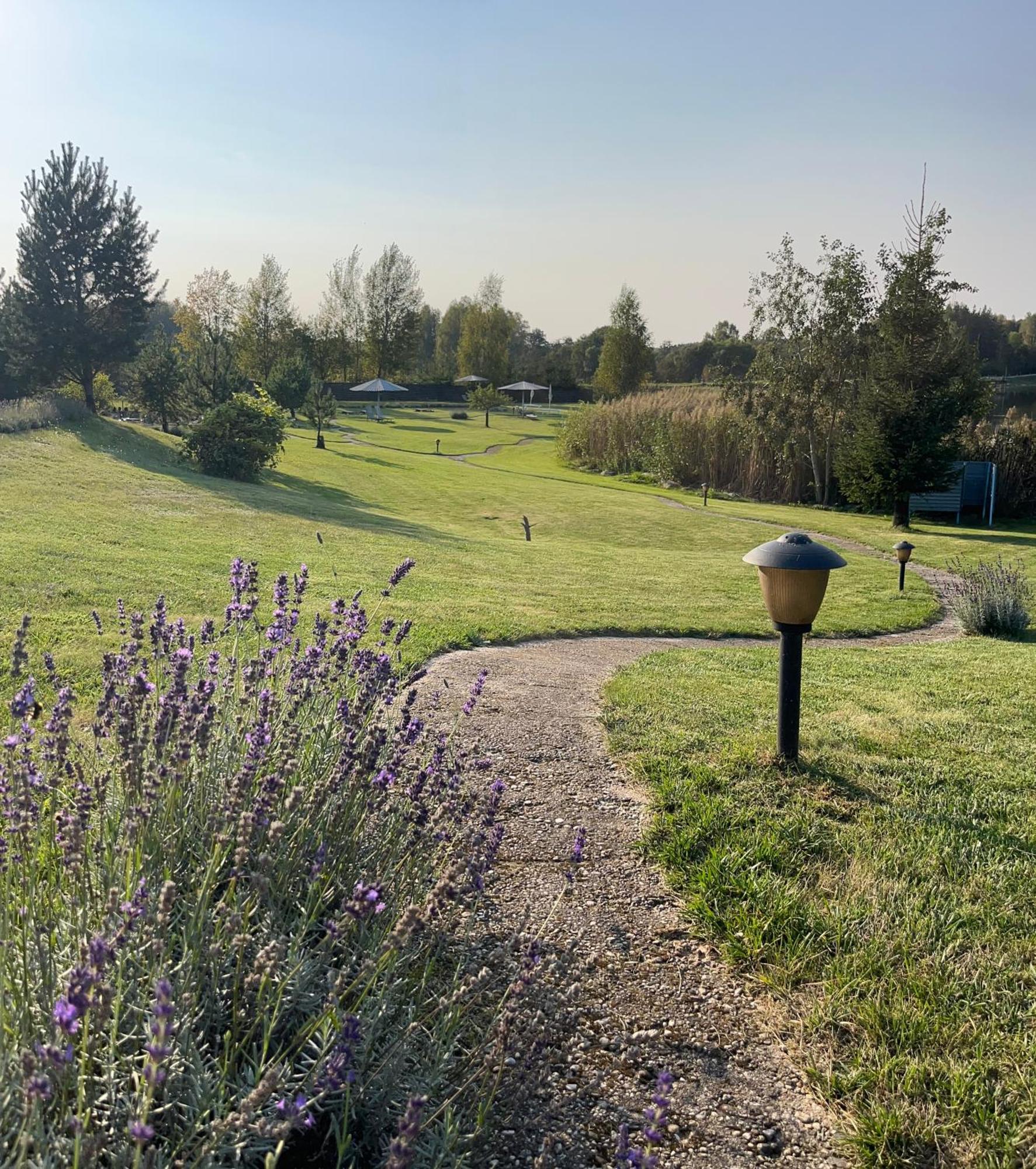 Lavender Village *