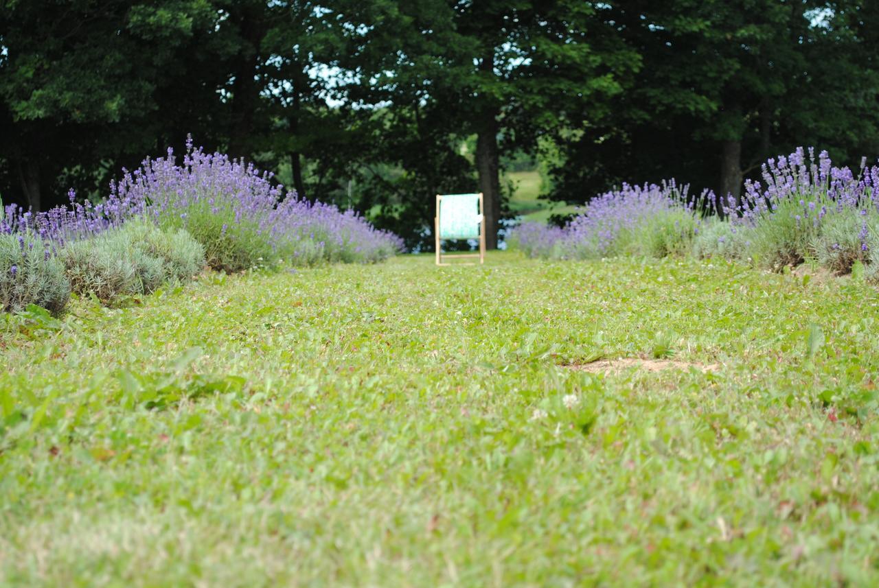 Campingplatz Lavender Village *