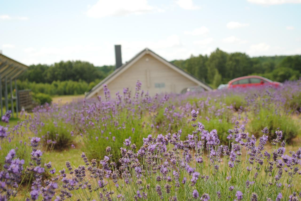 Campingplatz Lavender Village