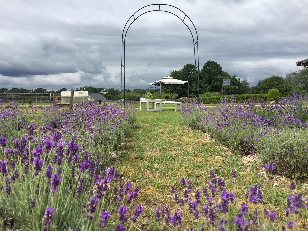 Campingplatz Lavender Village Kiemeliai